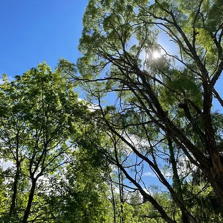 Mokki Kesaemoekki Ювяскюля