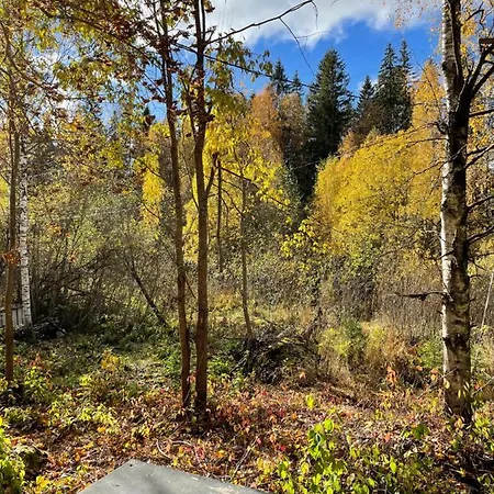 Mokki Kesaemoekki Horská chata *