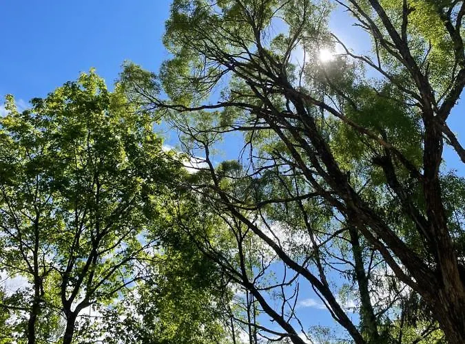 Mokki Kesaemoekki Jyväskylä