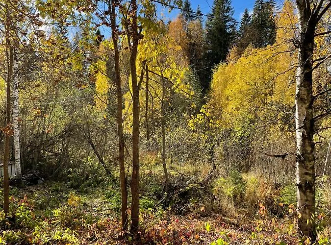 Mokki Kesaemoekki בקתה *