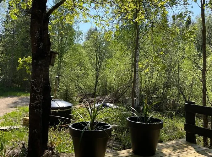 Mokki Kesaemoekki Jyväskylä